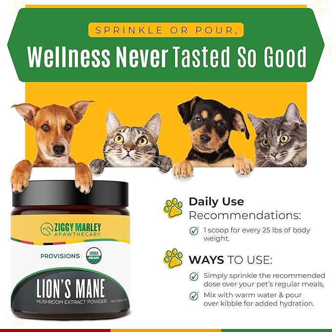 Organic Lions Mane Mushroom Powder for Dogs & Cats – Support Cognition – USDA Organic Fruiting Body Extract, 45 Servings in a Resealable Jar