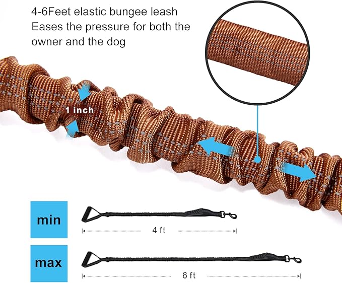 6FT Highly Reflective Heavy Duty Elastic Bungee Medium and Large Dog Leash Shock Absorbing with Comfortable Padded Handle and Traffic Handle Suitable for Training
