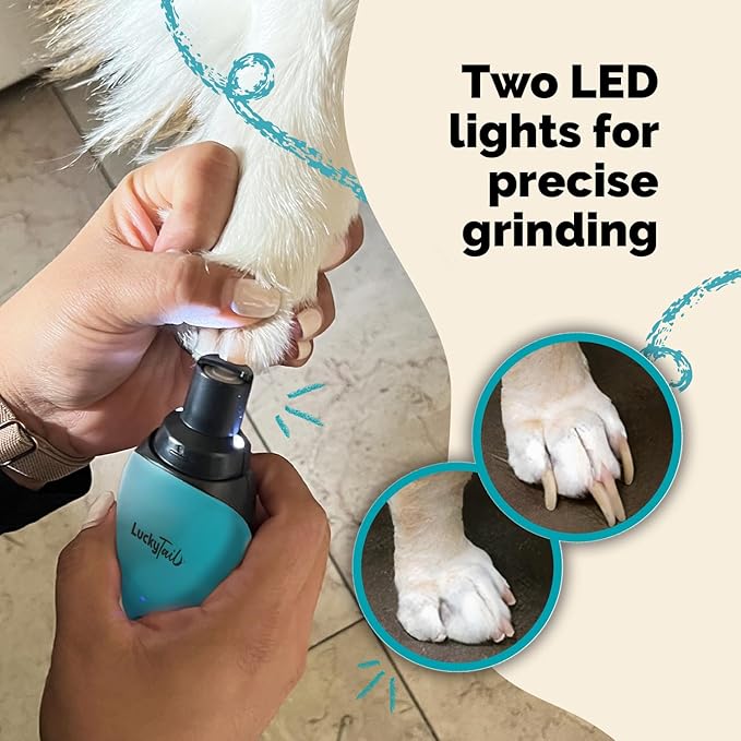 LUCKY TAIL Pet Nail Grinder for Dogs and Cats - Super Quiet and Low Vibration Electric Dog Nail Grinder with 2 LED Lights - USB Rechargeable and Cordless - 2 Speeds - Small to Large Pets - Teal