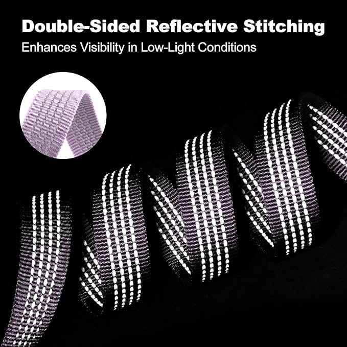 Plutus Pet Heavy Duty Dog Leash with Lockable Aluminum Carabiner, 4/6 Feet Long, Double-Sided Reflective Nylon, Padded Handle, for Puppy, Small, Medium and Large Dogs (Lilac Purple, 1" x 6')