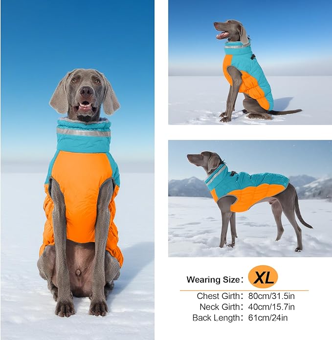 Warm Dog Coats for Medium Dogs, Waterproof Dog Jacket with Harness Built in, Zipper Clousure, Fleece Lining for Cold Weather Outdoor Walks, Snowsuit for Schnauzer, Boston Terrier, Pug - M