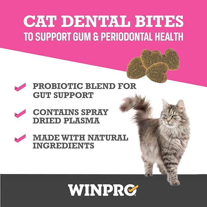 WINPRO Functional Dental Bites for Cats, Plasma-Powered Formula for Supporting Healthy Teeth and Gums, Probiotic Blend, Catnip Flavor, All Cat Breeds, 120 Count
