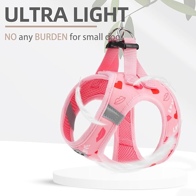 PUPTECK Adjustable Dog Harness Collar and Leash Set Step in No Pull Pet Harness for Small Medium Dogs Puppy and Cats Outdoor Walking Running, Soft Mesh Padded Reflective Vest Valentine Harnesses