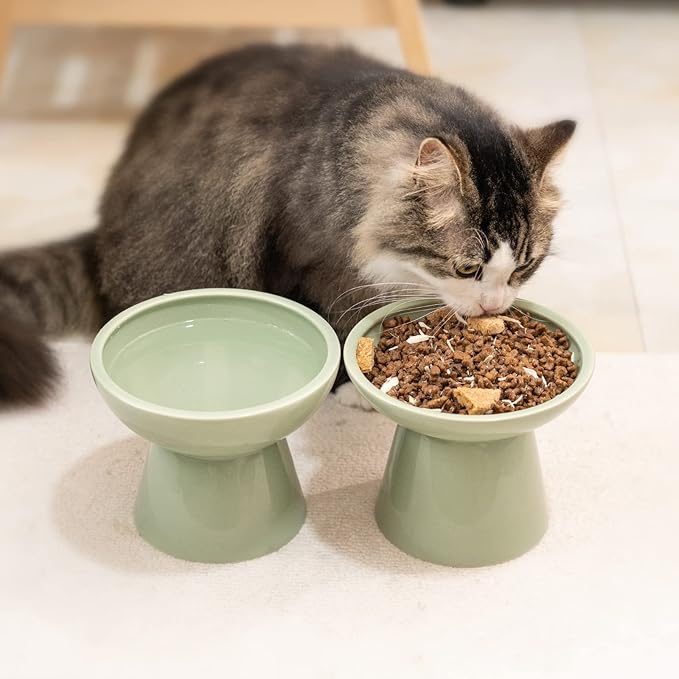2 Elevated Ceramic Cat Bowls Extra Wide for Food & Water – Whisker Fatigue Shallow Food Dish, Lead & Cadmium-Free, Raised Height for Cats, Sage Green