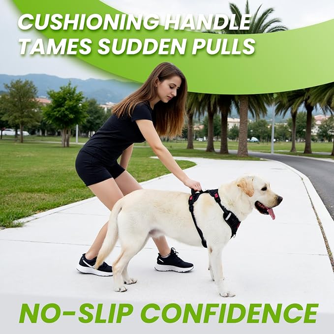 Black No Pull Adjustable Reflective Breathable Heavy Duty Dog Vest Harness for Medium Large Dogs with Quick Release Buckles Soft Padded Handle & Metal Front Back Clip for Walking Training, M