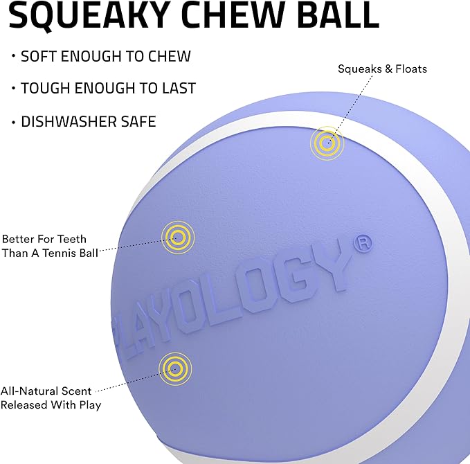 Playology Dog Toys | Squeaky Chew Ball - Bouncy Durable Floating Fetch Ball for Dogs | Medium Blueberry Scented Toy - Easy to Clean and Made from Non Toxic Materials