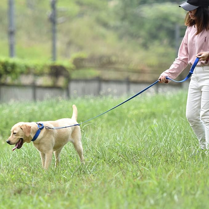 Hyhug Martingale Collar for Dogs Small Blue |Escape - Proof Heavy Duty Nylon Durable No Buckle, Ideal for Training & Daily Walks