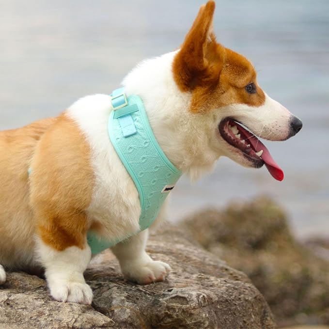 Silk Embroidery Dog Harness with D-Ring Leash Clip Set,Adjustable Soft Padded and Cotton Fabric Pet Vest for Medium and Small Dogs (Mint, Small)