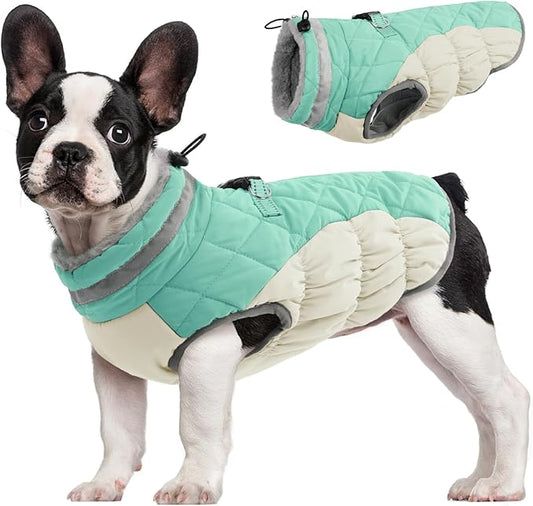FUAMEY Dog Coat for Small Dogs,Waterproof Dog Winter Jacket with Harness Built in Puppy Cold Weather Coats Reflective Pet Vest with Zipper Warm Fleece Dogs Snowsuit Windproof Mint Green S