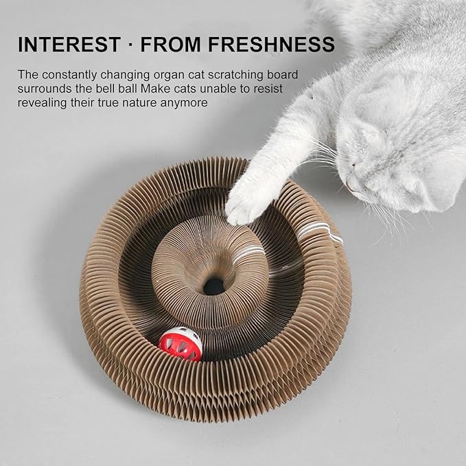 Kitty Curls Cat Toy,Magic Organ Cat Toy,Cat Scratcher for Grinding Claw Cardboard Cat Toys,Interactive Scratch Pad with Toy Ball