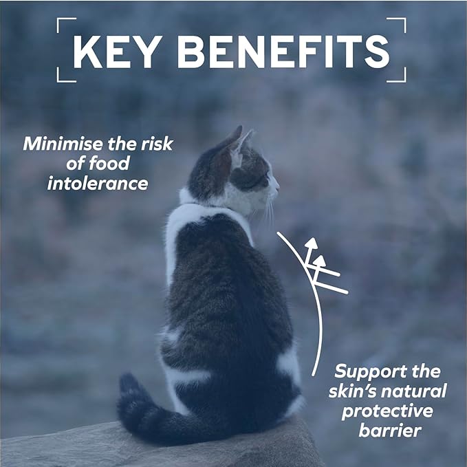 Forza10 - Cat Food, Vet-Approved Hypoallergenic Wet Cat Food, Non GMO, Lamb Flavor, Adult Cats with Allergies, Skin & Coat Support, Made in Italy (3.5 oz, 32 Pack)