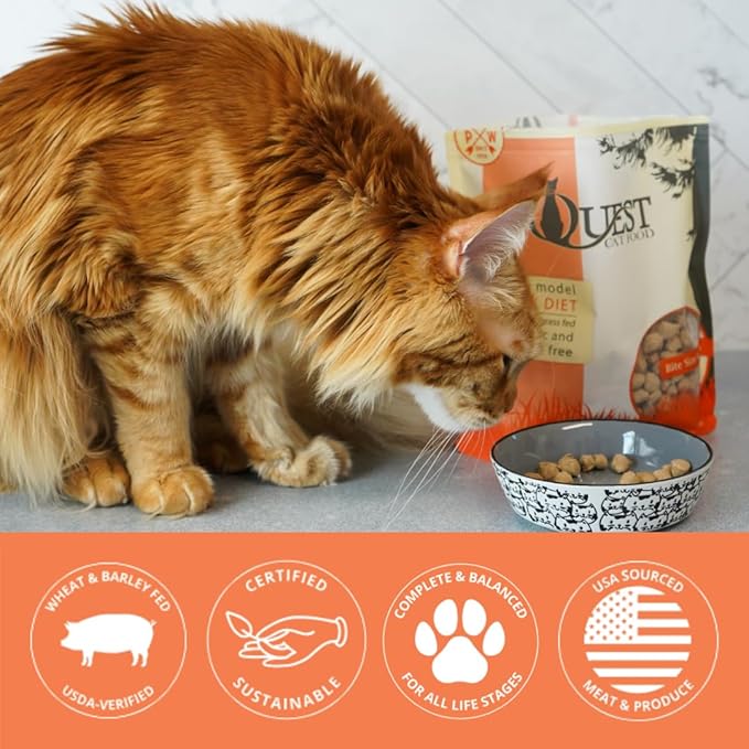 Quest Cat Food Freeze-Dried Raw Bite-Sized Nuggets - Pork Recipe - Raw Food for Cats - 10 oz