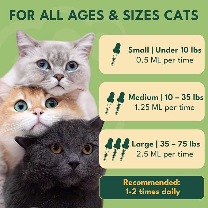 YOTANGO Natural Antibiotics for Cats, Cat Antibiotics for UTI & Itch Support, Immune, Digestive, Allergy, Skin & Coat Support for Cats and Kittens, for All Ages & Breeds (Chicken Flavor-60ml 2 Pack)