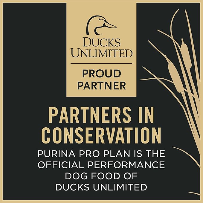 Purina Pro Plan Sport Performance 30/20 Beef and Bison Formula Dry Dog Food - 6 lb. Bag