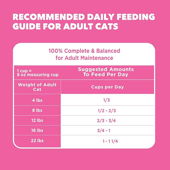 IAMS Proactive Health Adult Sensitive Digestion & Skin Dry Cat Food with Turkey, 6 lb. Bag