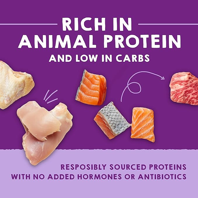 Stella & Chewy's Carnivore Cravings Savory Shreds - Wet Cat Food - High-Moisture Formula with Premium Real Meat - Perfect for Picky Eaters - Variety Pack, 2.8 oz, 24 Count