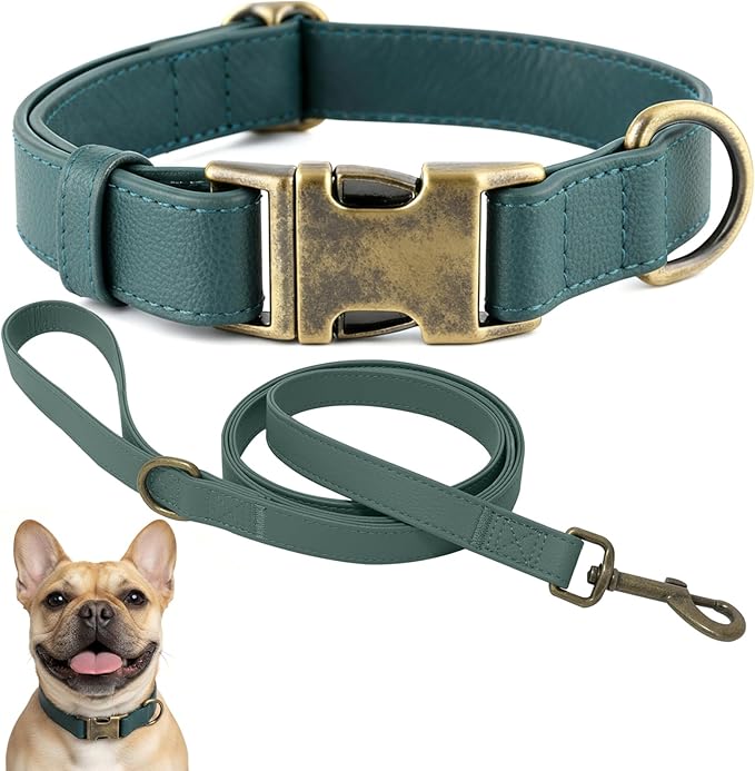 Dog Collar and Leash Set, Silicone Leather Dog Collars Soft Flexible Waterproof & Odor Proof Puppy Collar Durable Thick Adjustable Pet Collar for Small (Green, Small (9-14" Neck))