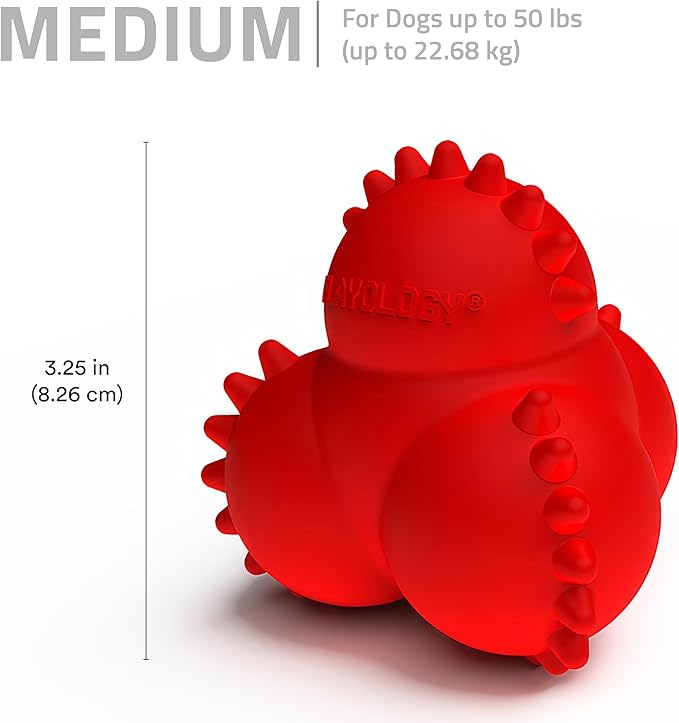 Playology Dog Toys | Puppy Toy Teething Bounce Ball Designed for Young & Active Dogs | Medium Beef Scented Toy Made from Non Toxic Materials