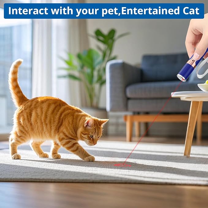 TBTeek Cat Toys, with Metal Case, 2 Pieces, Rechargeable, 7 Adjustable Patterns, Interactive Kitten Pet Dog Red Dot Chase Light Toy for Cats Fun Playing Exercise（Blue）