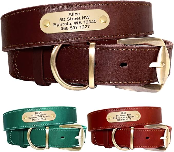 Didog Genuine Leather Dog Collars with Engraved Nameplate, Personalized Soft Leather Dog Collar with Custom ID Tag, Brown/Green/Red for Small Dogs (M,Red)