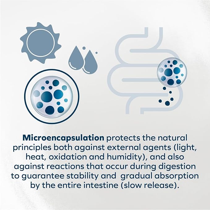 Forza10 - Cat Food, Actiwet Dermo Wet Cat Food, Non GMO, Vet-Approved for Sensitive Stomach and Skin with Support for Feline Dermatitis, Salmon Flavor, Made in Italy (3.5 oz, 32 Pack)