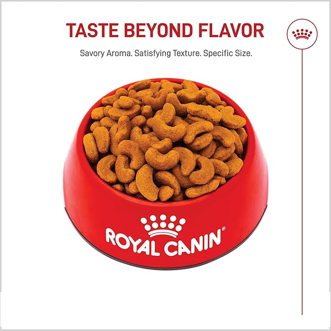 Royal Canin Breed Health Nutrition French Bulldog Adult Dry Dog Food, 17 lb Bag