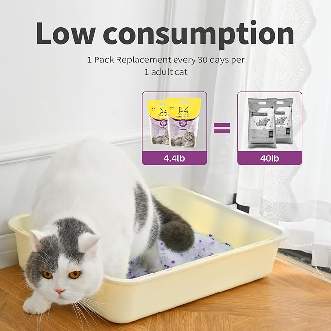 Cat Litter Crystals No Clumping Odor Control Kitty Litter Non-Clumping No scooping Low Dust, Low Tracking, Dehydrates Waste Lavender - 17.2 lbs (4 x 4.3 lb Packs)