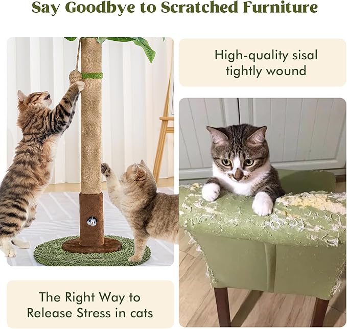 Cat Scratching Post for Indoor Cats and Kitten - 35.43" Tall Cat Scratching Post with Sisal Rope,Palm Tree Cat Scratch Post with Hanging Ball (35.4-Green, 35.4in)