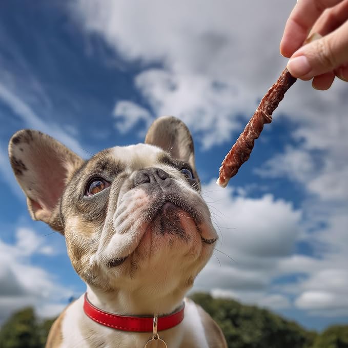 Pet 'n Shape Hide Twists – Duck Wrapped Rawhide Dog Treats - Small Twist - 2 Pounds