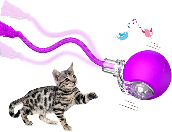 Interactive Cat Toys, Automatic Moving Cat Toys for Bored Indoor Adult Cats, Fast Rolling, Chirping & Motion-Activated Kitty Toys, Fun Gift for Cats with Speedy Tail 2.0, USB Rechargeable (Purple)