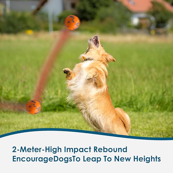 Diman Interactive Dog Toys Balls for Aggressive Chewers, Durable, Bouncy Fetch Balls, Interactive Pet Toys for Herding & Playing, Water, Orange& Blue (2 Pack)