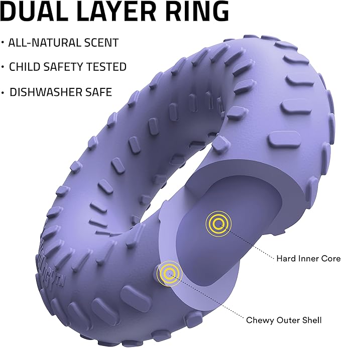 Playology Dog Toys | Dual Layer Ring Durable Chew Toy for Aggressive Chewers | Medium Blueberry Scented Toy - Easy to Clean and Made from Non Toxic Materials