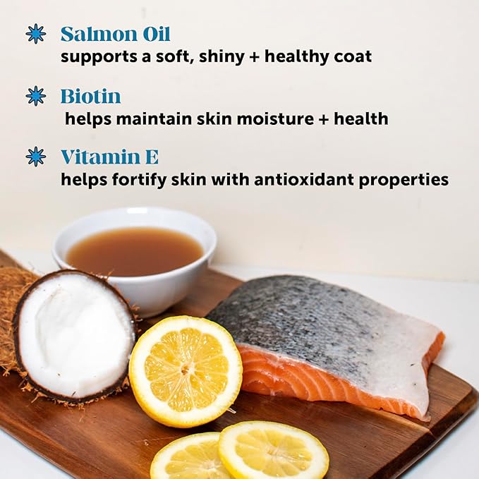 Pet Honesty Dog Skin and Coat Supplement with Salmon Oil for Dogs - Allergy Itch Relief + Skin & Coat Health, Dog Food Topper Bone Broth with Salmon Oil, Collagen, Biotin + Vitamin E (12 oz)