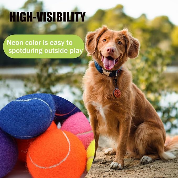 Magicorange Tennis Ball Dog Toys，2 Pack 4 inch Oversize Giant Tennis Balls Dog Tennis Ball Large Pet Chew Toy for Outdoor/Indoor Sports (Multicolor, 2 Pack)