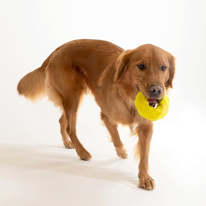 Playology Dog Toys | Channel Chew Ring | Jumbo Chicken Scented Toy - Easy to Clean and Made from Non Toxic Materials