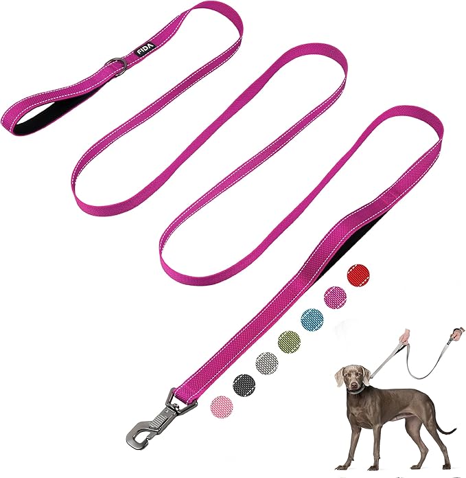 Fida 10ft Heavy Duty Dog Leash with 2 Comfortable Padded Handles, Traffic Handle & Advanced Easy Snap Hook, Reflective Walking Lead for Large, Medium & Small Breed Dogs, Rose