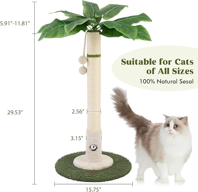 Cat Scratching Post for Indoor Cats and Kitten - 35.43" Tall Cat Scratching Post with Sisal Rope,Palm Tree Cat Scratch Post with Hanging Ball (35.4-White, 35.4in)