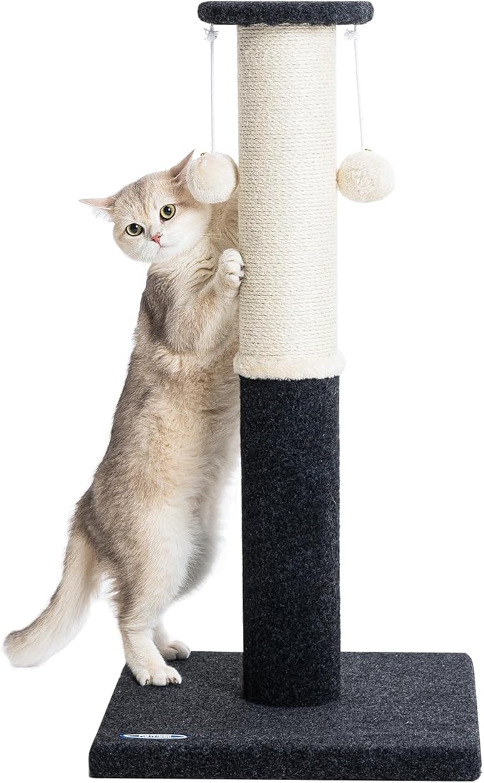 34-Inch Tall Cat Scratching Post for Indoor Cats, Large Carpet Scratch Post, Sisal Cat Scratcher, Sturdy and Durable Cat Post with Hanging Ball Black