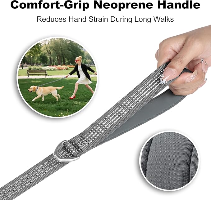 Plutus Pet Heavy Duty Dog Leash with Lockable Aluminum Carabiner, 4/6 Feet Long, Double-Sided Reflective Nylon, Padded Handle, for Puppy, Small, Medium and Large Dogs (Gray, 4/5" x 6')