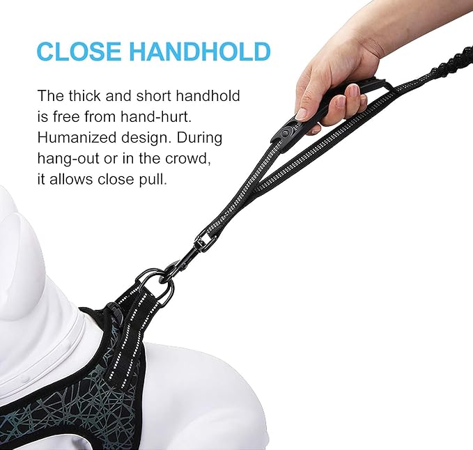 6FT Highly Reflective Heavy Duty Elastic Bungee Medium and Large Dog Leash Shock Absorbing with Comfortable Padded Handle and Traffic Handle Suitable for Training