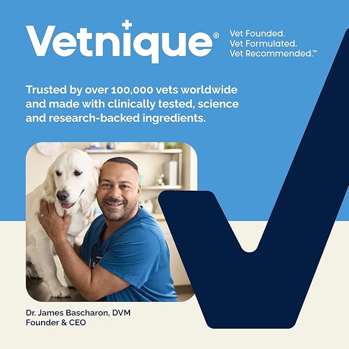 Vetnique Glandex Anal Gland Soft Chew Treats with Pumpkin for Dogs Digestive Enzymes, Probiotics Fiber Supplement for Dogs Boot The Scoot (Bacon Flavor Chews, 60 Count)