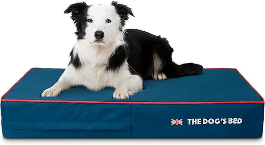 The Dog’s Bed Orthopedic Memory Foam Dog Bed Large Blue Oxford with Red Trim UK Flag, Pain Relief for Arthritis, Hip & Elbow Dysplasia Post Surgery Supportive, Waterproof Washable, Veterinary Approved