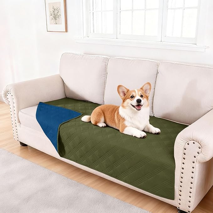 hyha Waterproof Dog Blanket, Reversible Pet Bed Blanket, Soft Sofa Couch Cover for Dogs Washable, Waterproof Pet Couch Covers for Sofa Puppy Cats Furniture Protector(40"x80", Green/Navy Blue)