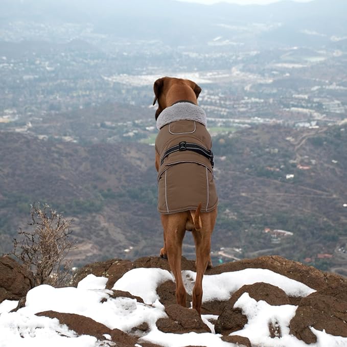 Lelepet Warm Dog Coats for Large Dogs Waterproof Dog Jacket Reflective Pet Fleece Vest Windproof Cold Weather Coats with Adjustable Buckle & Leash Hole, Brown, XL