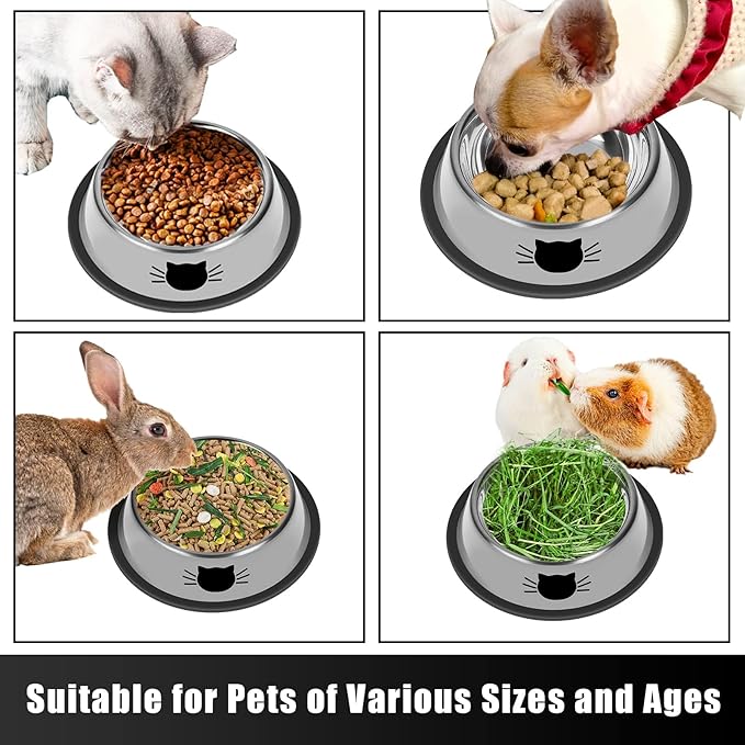 2 Pcs Non-Slip Stainless Steel Small Cat Food Bowls - Unbreakable, Thicken 7 Oz Cat Dishes - Indoor, Removable Rubber Base, Easily Clean, Lovely Color