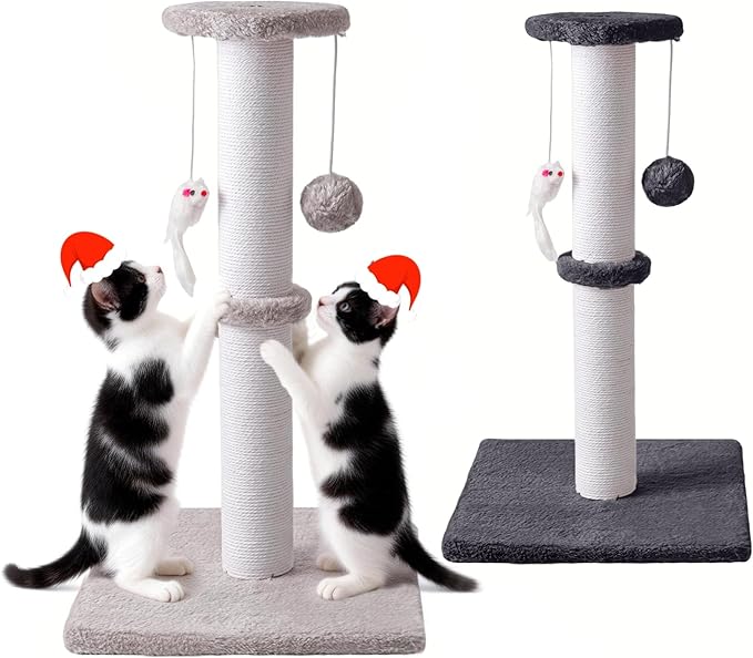 2 Pack Cat Scratching Post, 19.2in Kitten Scratcher Post, Sisal Rope with Hanging Ball and Mice for Indoor Kittens or Smaller Cats