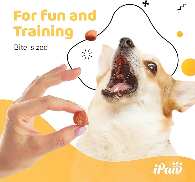 iPaw Chicken Tots Dog Treats for Puppy Training, All Natural Human Grade Dog Treat, Hypoallergenic, Easy to Digest (Chicken Tots), 5 Packs