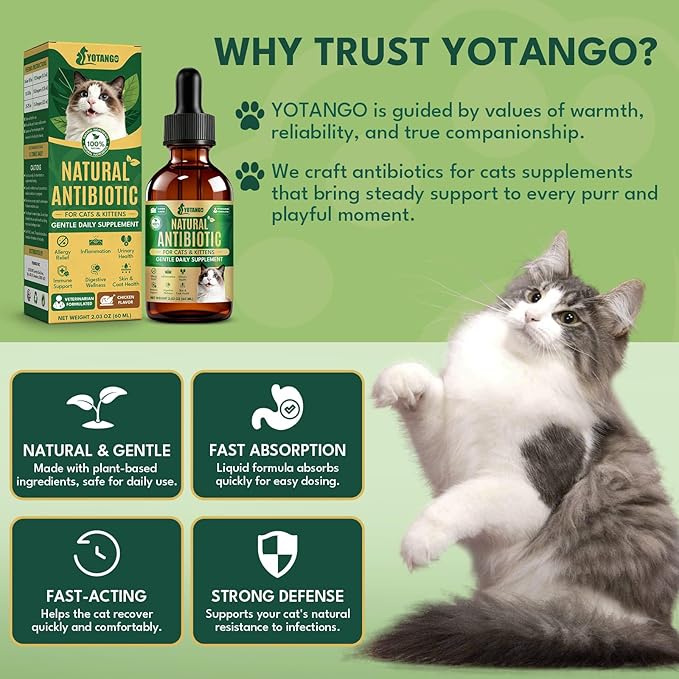 YOTANGO Natural Antibiotics for Cats, Cat Antibiotics for UTI & Itch Support, Immune, Digestive, Allergy, Skin & Coat Support for Cats and Kittens, for All Ages & Breeds (Chicken Flavor-60ml)