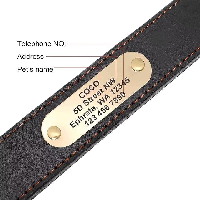 Didog Genuine Leather Dog Collars with Engraved Nameplate, Personalized Soft Leather Dog Collar with Custom ID Tag, Brown/Green/Red for Small Dogs (M,Black)