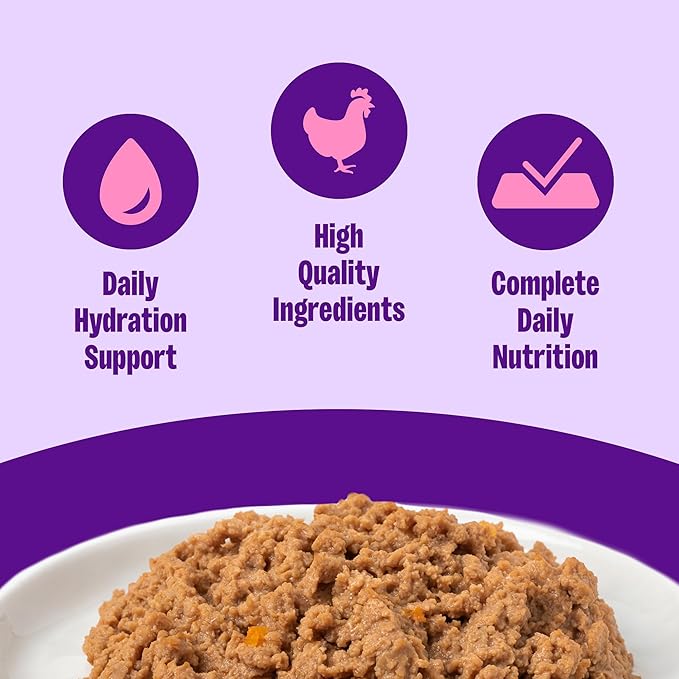 Wellness Complete Health Pate Kitten Wet Cat Food, Natural, Protein-Rich, Grain Free, 3 Ounce, 24 Pack, (Chicken)